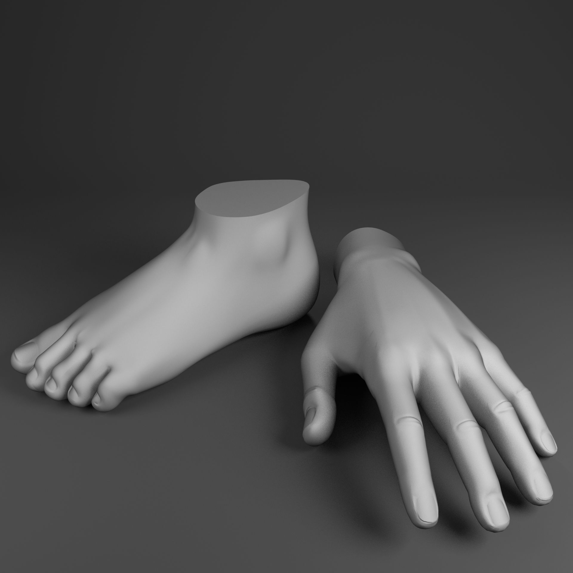 Human hand and foot 3d model