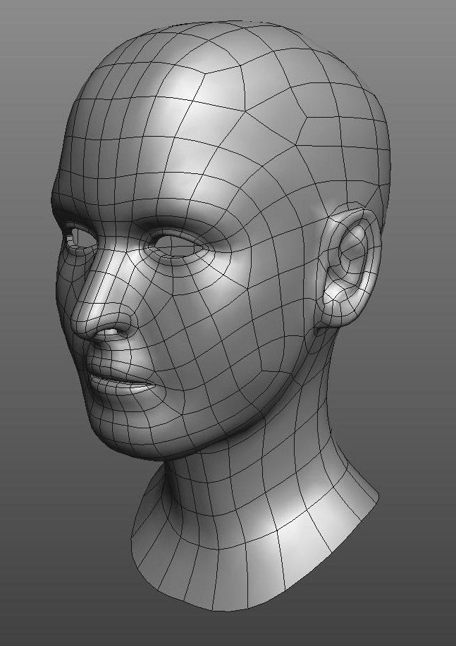 head basemesh 3d model