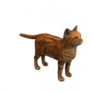 Cat v1  3d model