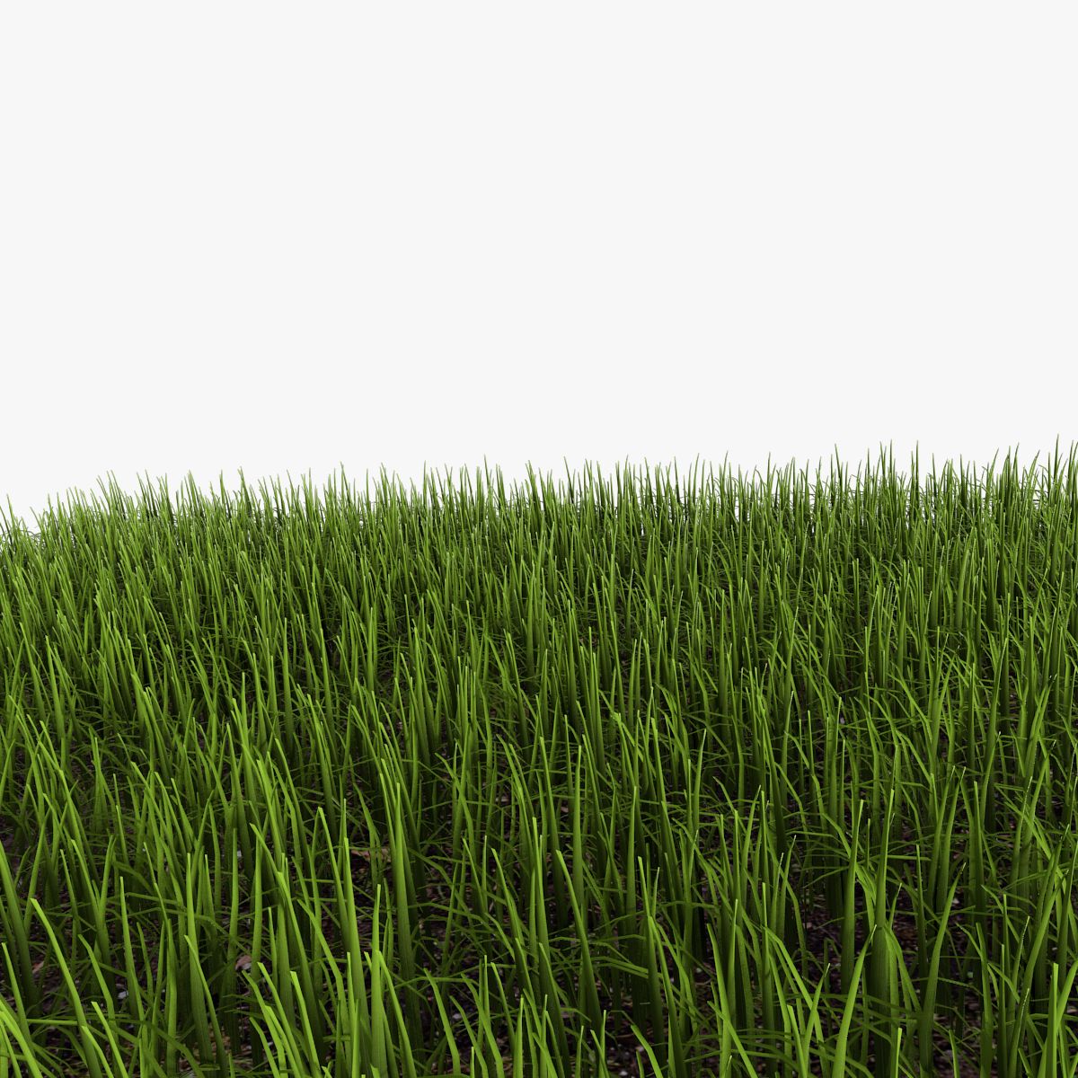 Grass 3d model