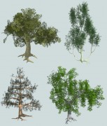 Tree pack 1 3d model