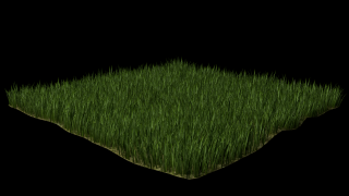 Grass 3d model