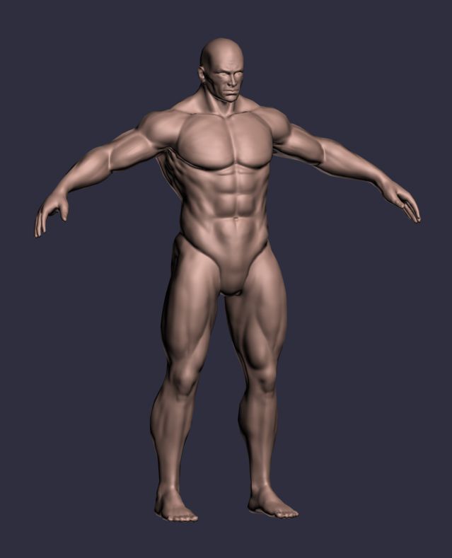 Male A-Posed Character 3d model