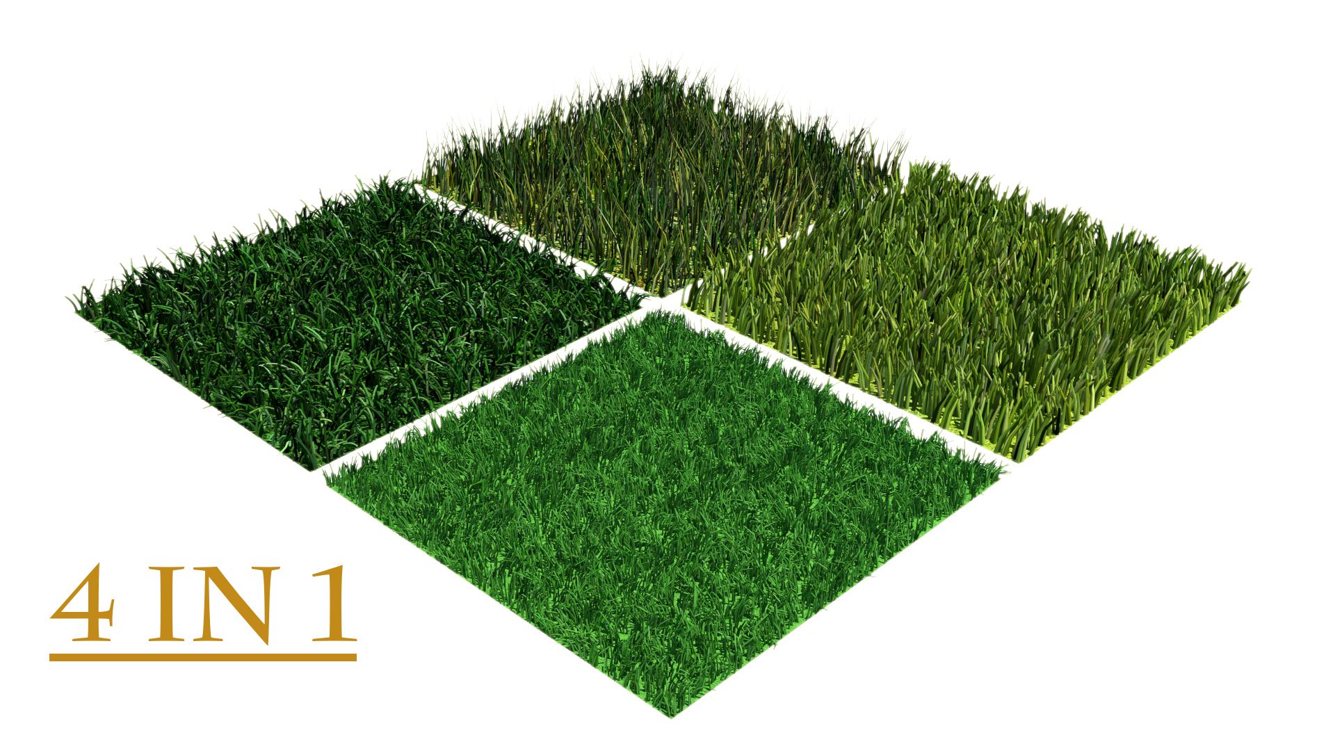 grass multi 3d model