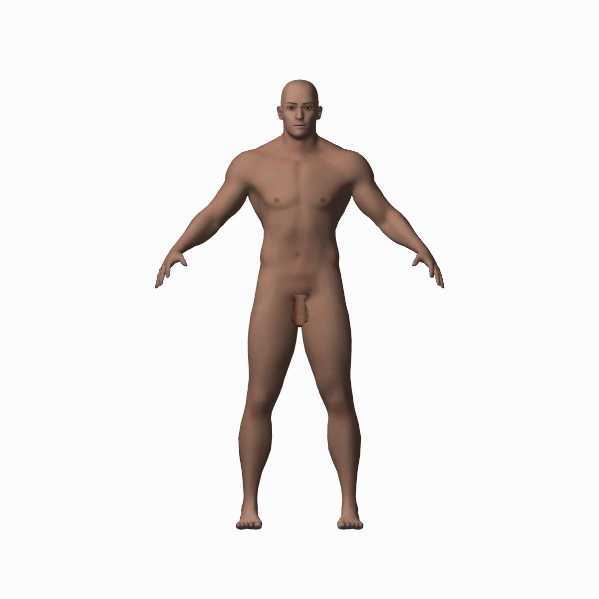 Human Male Character 3d model