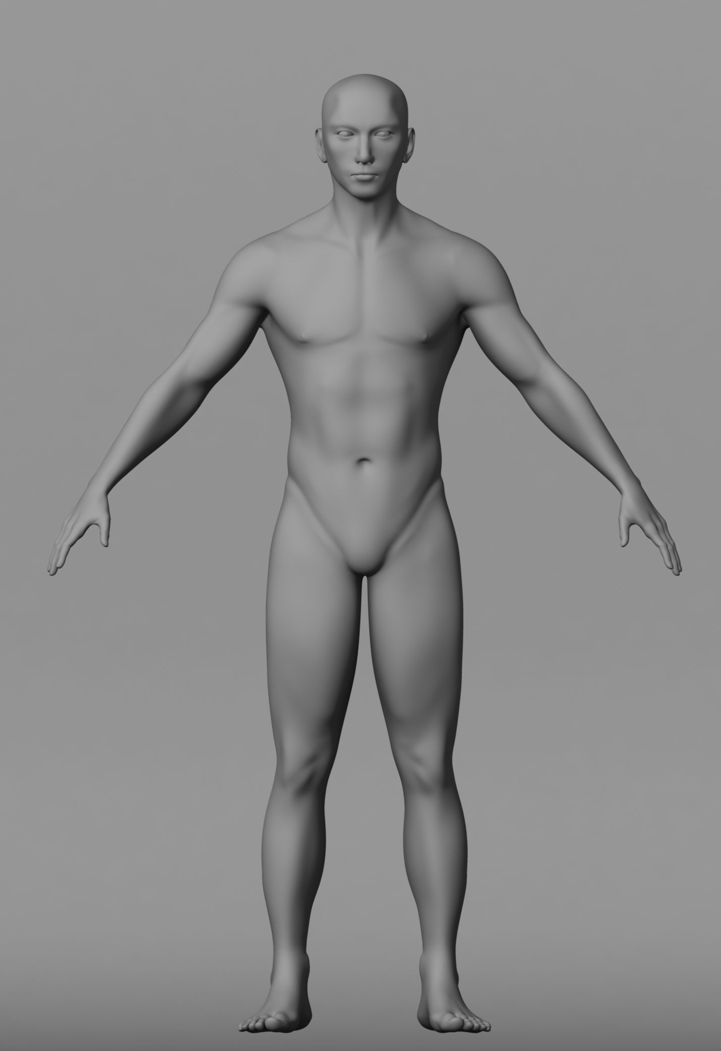 Human Male Base Mesh 3d model