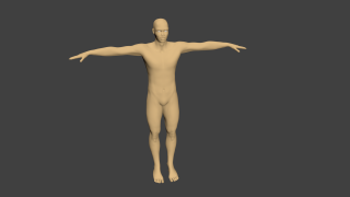 human base riged 3d model