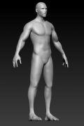 Male Base Mesh 3d model